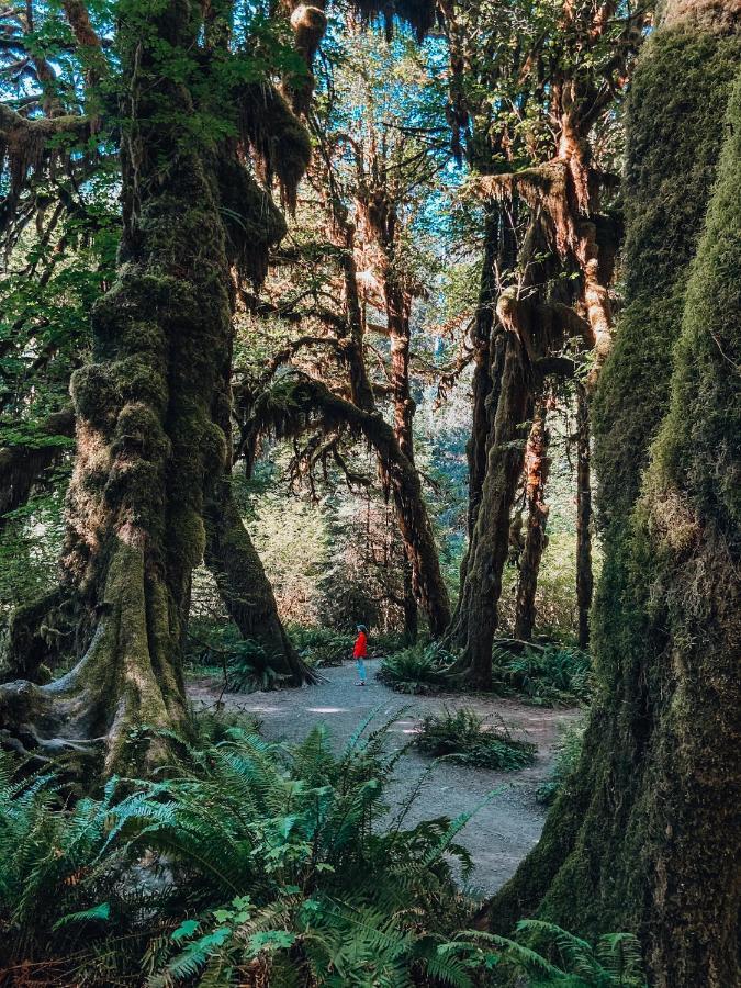 Wander Camp Olympic Hotel Port Angeles Buitenkant foto